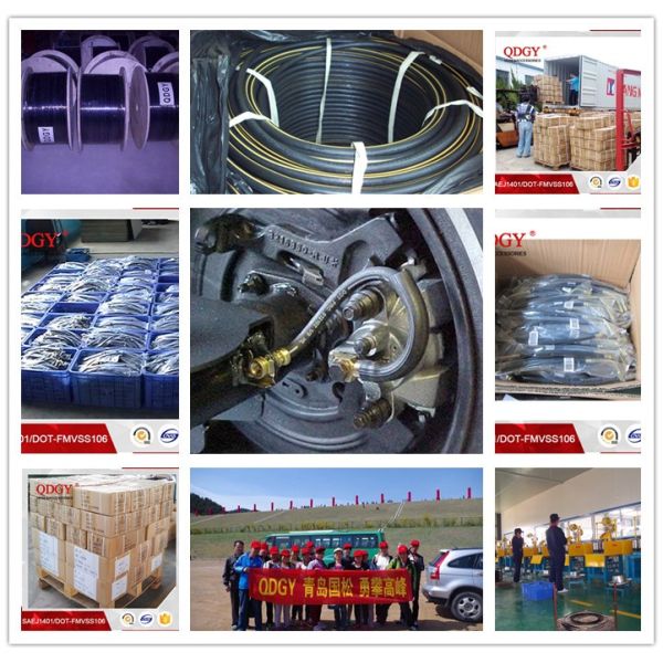 ISO9001Certificated DOT FMVSS106 approved 1/8 size racing car and racing motorcycle stainless steel braided hose