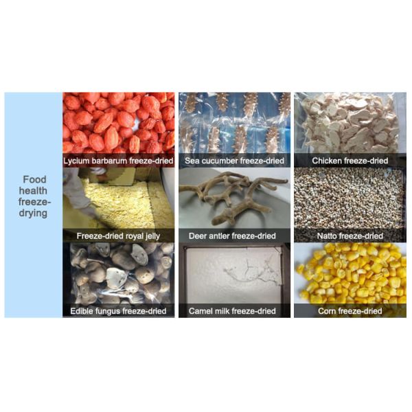 СГС Домашний сушильщик для заморозки лаборатория Маленькая лиофилизаторная машина