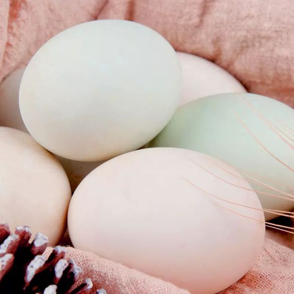 Wholesale China Salted Duck Eggs Super Supplier Salted Eggs Cooked Salted Duck Eggs