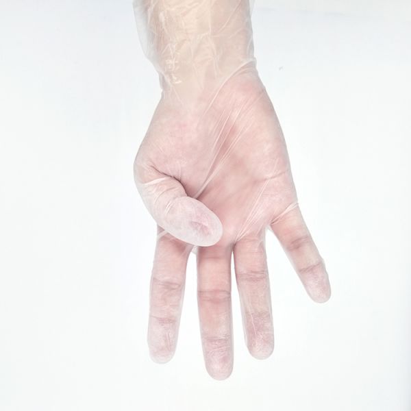 Disposable Vinyl Gloves