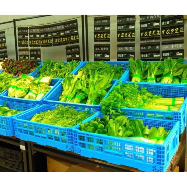2.25kg Lightweight Small Collapsible Plastic Crates for Fruits and Vegetables