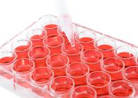 Materiais de consumo estéreis Microplate plástico 24 do laboratório da placa de cultura celular da gama