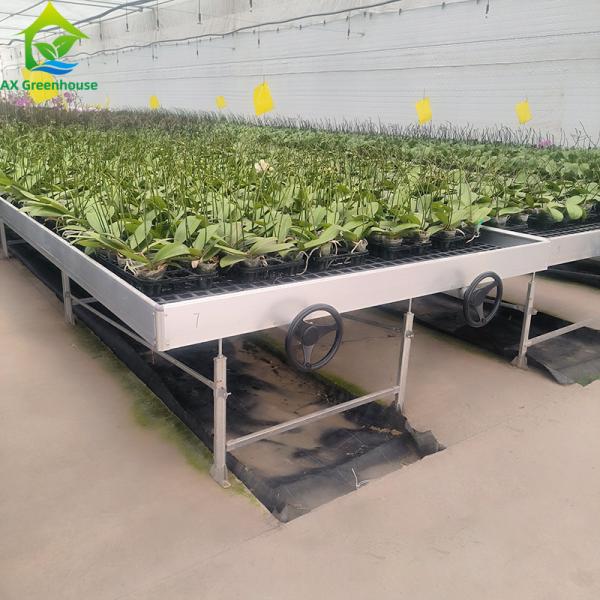Plantation de fleurs Serre semis Bancs roulants Plante de table mobile