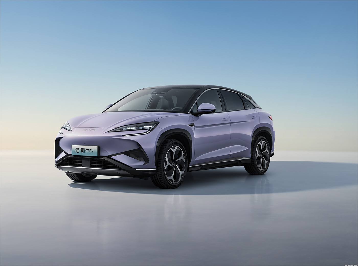 BYD Honor Sea Lion EV 550KM Longue portée Volant multifonctionnel