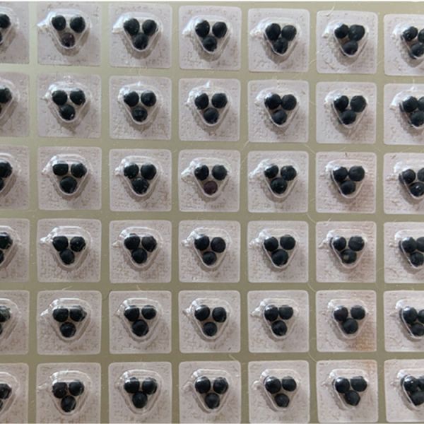 Ear Care Seeds Sticker for Auricular Massage Therapy Needle Patch within 1620pcs