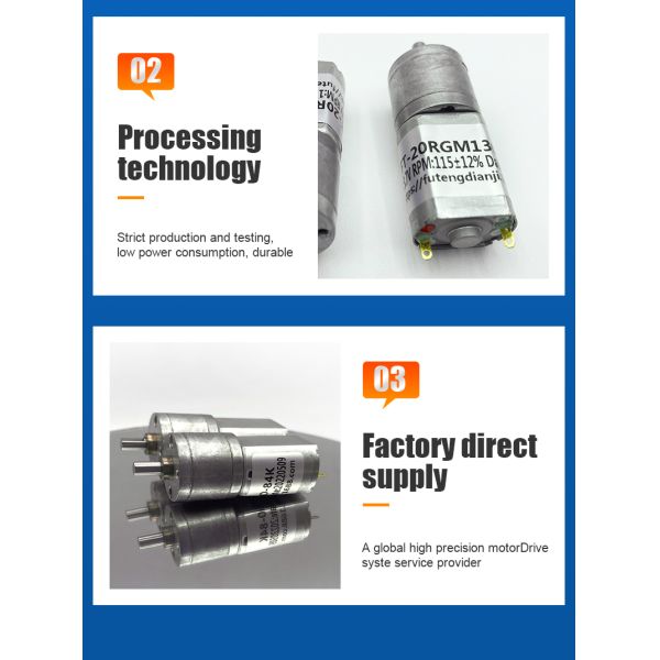 FT-25RGM130 DC Spur Gear Motor Explosion Proof 25mm Diameter