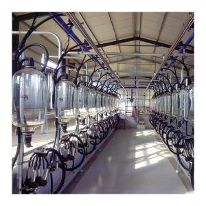 24-100 machine efficace d'exploitation laitière de salon de traite de laiterie