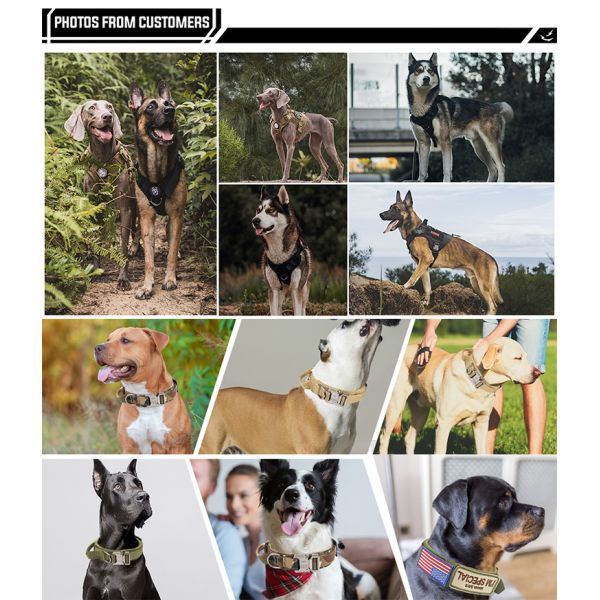 Heavy Duty Pet Collar Leash Tactical Dog Harness Vest with Handle