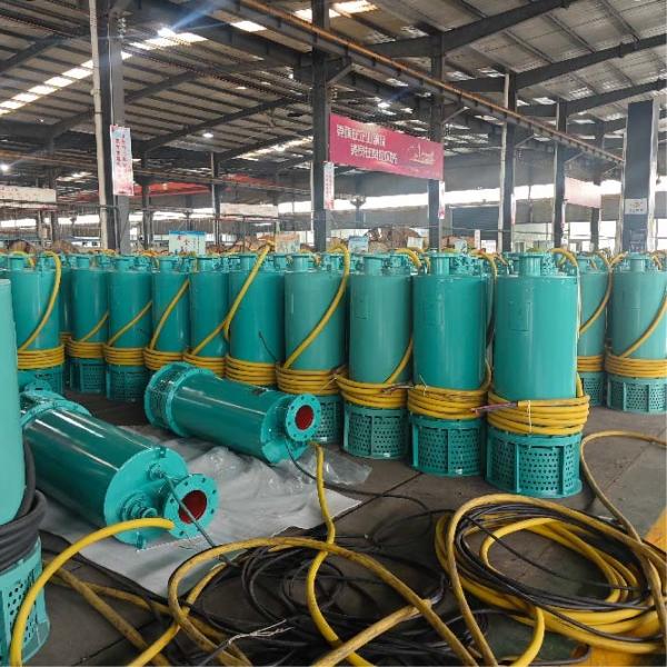 1.5kw-7.5kw Versatile Portable Submersible Pump For Drainage Irrigation  And Emergency Water Extraction