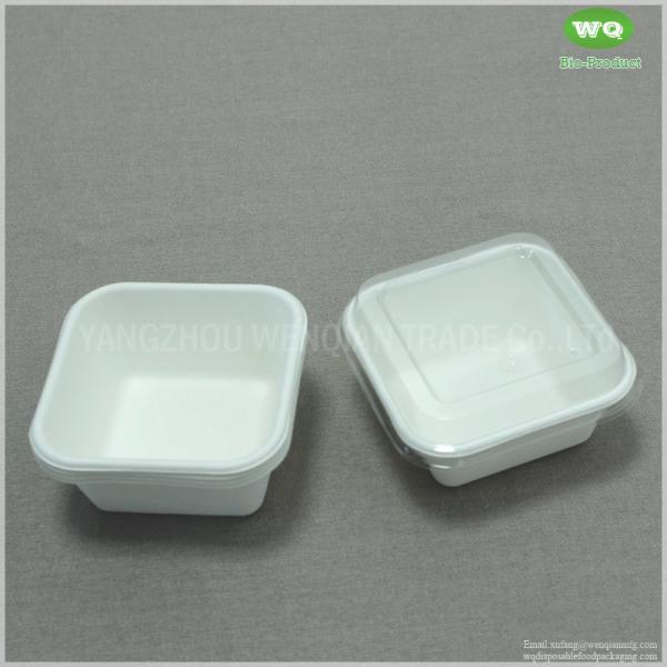 250ml Disposable Square Food Container Made By Sugarcane Bagasse With Clear PET Lid-Easy Green Disposable Food Container