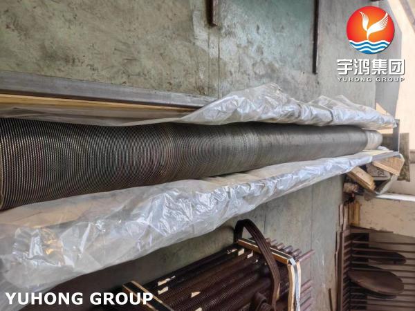 ASTM A312 TP347 Stainless Steel Serreted Spiral HFW High Frequency Welding Finned Tube
