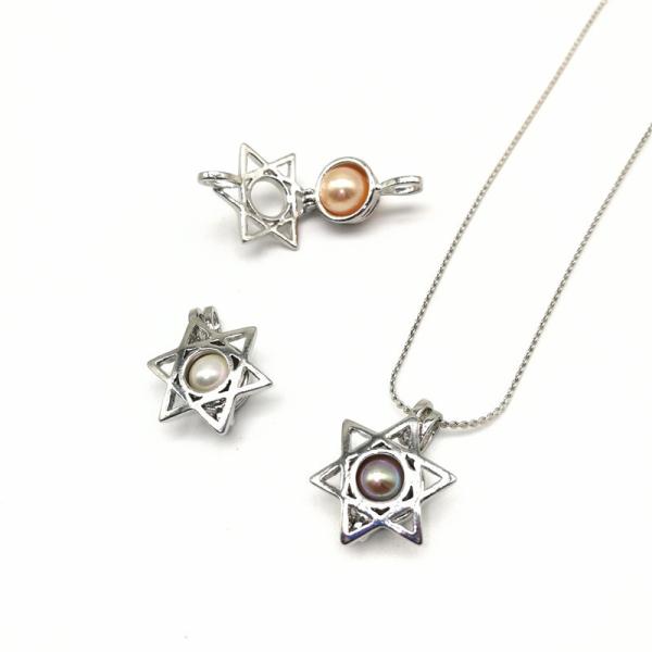 Fashion Wish Pearl Pendant Necklace Natural Oyster Gift Box Love Heart Cage Holder Chokers Necklace For Women Jewelry