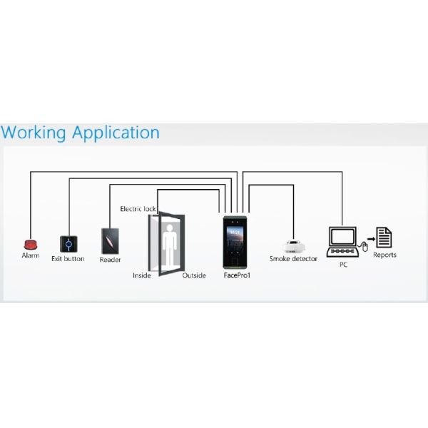Система посещаемости времени опознавания многофункционального видимого света Touchless биометрическая лицевая