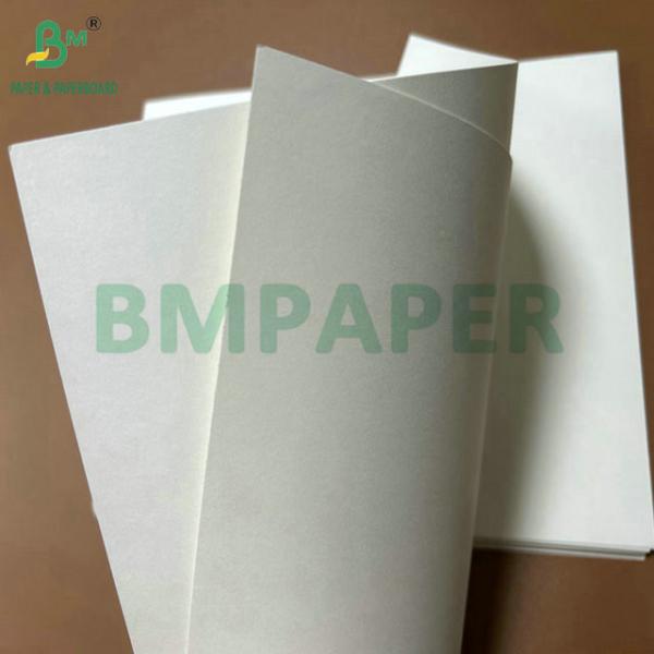 Food Grade 250Gram 737mm Waterproof Cupstock 1 PE Paper for Cups