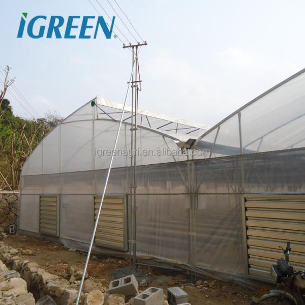 S Hot Dipped Galvanized Steel Structure Greenhouse for Agricultural Vegetable