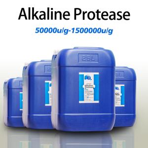 Alkaline Protease Enzyme 50000u/g-1500000u/g Protease Manufacturer Providing