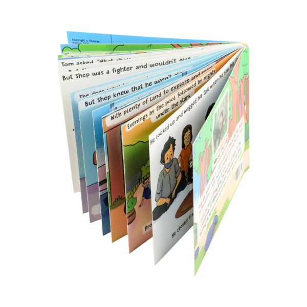 OEM Paper Book Printing Ivory Thick Board Books For Baby And Children