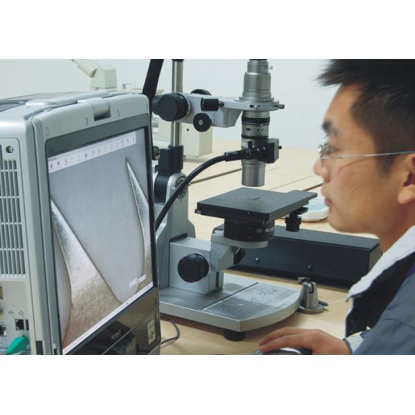 Anhui Hongshi Optoelectronic High-tech Co.,Ltd