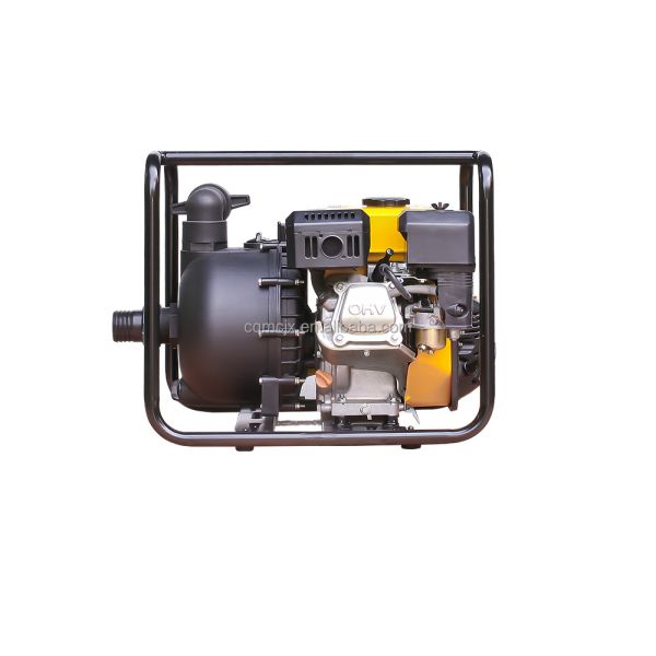 Single Cylinder Sewage Pumps for Agricultural Irrigation and Sewage Treatment in 220v