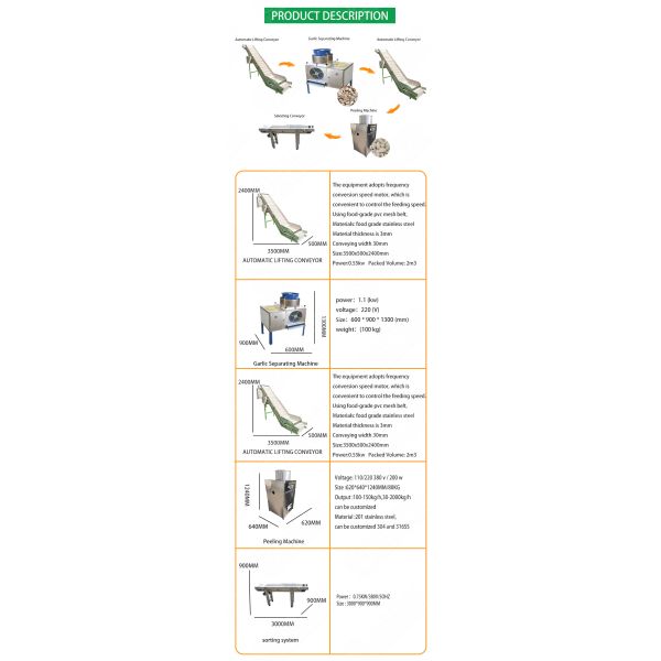Industrial Automatic garlic peeling machine production line garlic processing machines