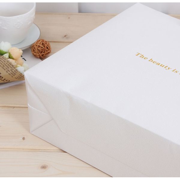 Luxury CCWB Paper Cardboard Shopping Bag Customized Logo for Clothes garment