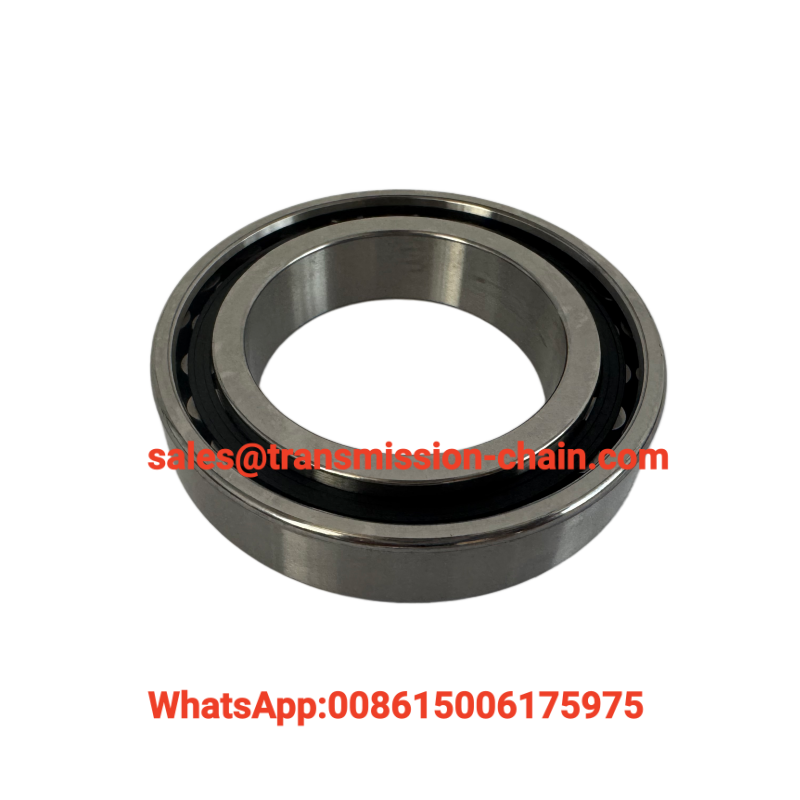 Hot Sale N1011 Precision Spindle Bearing FAG N1011-D-K-TVP-SP-XL Cylindrical Roller Bearing 55x90x18mm