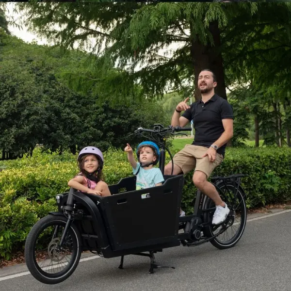 2 Wheel Cargo E Bike Family-Friendly Cargo Bicycle with Electric Assist