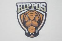 Etiquetas principales grabadas en relieve de alta frecuencia del remiendo de la ropa de Tpu para la ropa de los deportes