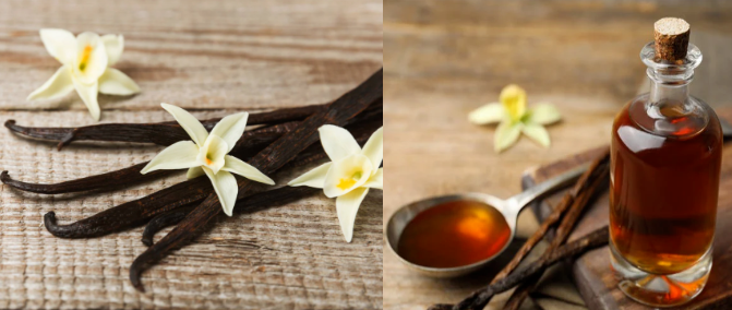 Home/Hotel Diffuser Bourbon Vanilla Essence Fragrance Oil For Reed Stick &Cold Scented Candle& Diffuser Fragrance Making/Production