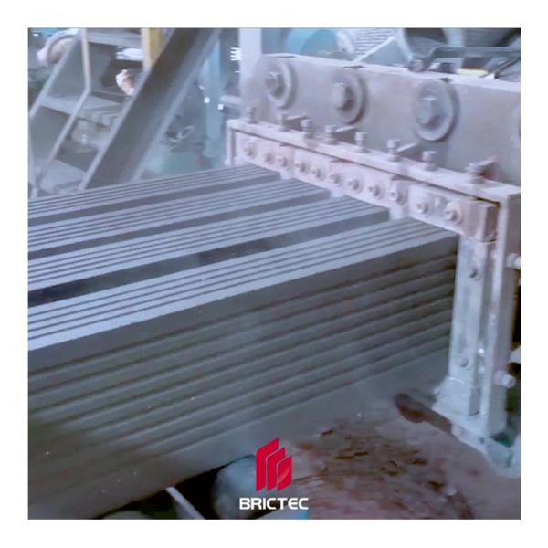 Automatic Vacuum Brick Extruder for Clay Brick Production with High-Pressure Extrusion and 1 Year Warranty