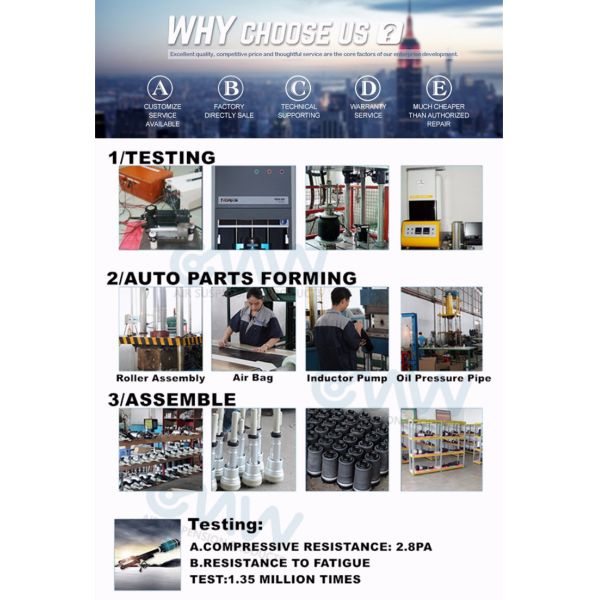 Левые амортизаторы удара автомобиля подвеса воздуха Airmatic фронта для VW континентального 3D0616039D