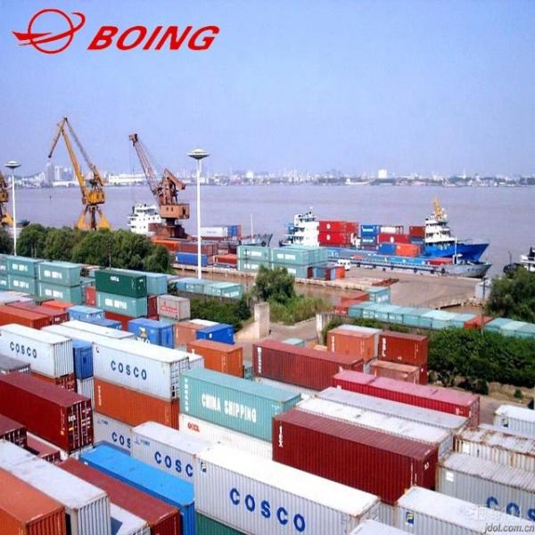 Experienced LCL Ocean Freight Services Ningbo Yiwu To USA Canada Europe