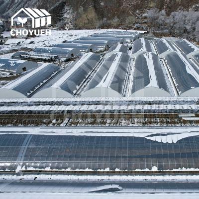 UV Protection Heat Insulation Solar Greenhouse For Optimal Crop Conditions