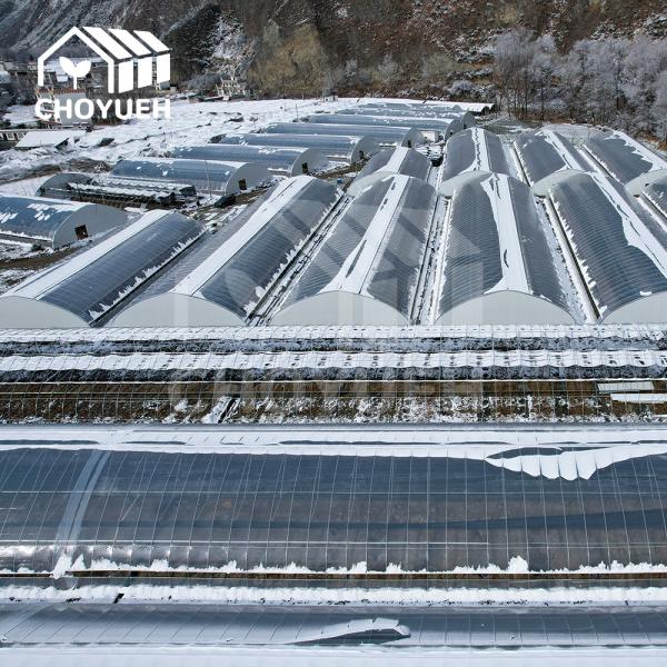 4mm Glass Greenhouse Utilizing Solar Heat For Optimal Light Transmission