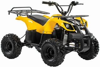 Elétrico amarelo todo o passageiro do terreno ATV UTV todo o veículo utilitário do terreno