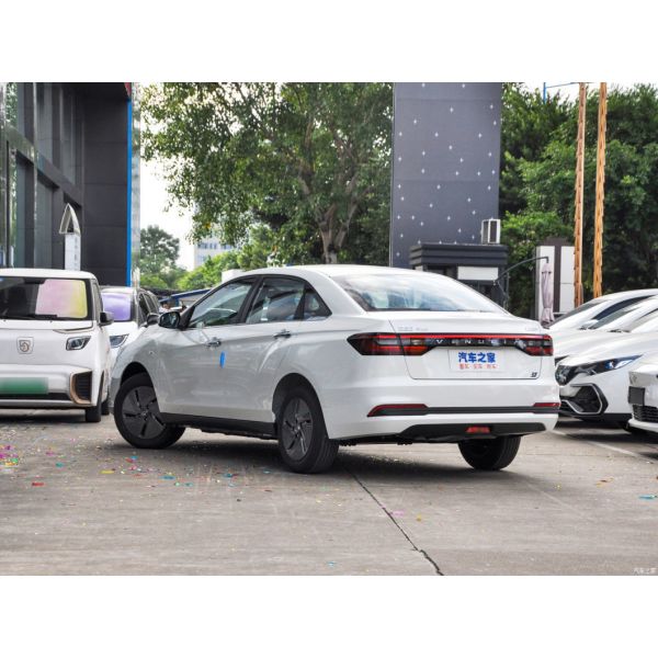 Electromagnetic Braking System Dongfeng Venucia D60EV 2023 Plus Comfort Si Electric Car