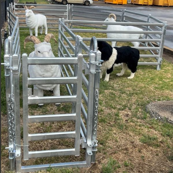 Heavy Duty Welded Wire Sheep Fence Panel Suitable for Pasture Protection and Animal Enclosure Applications