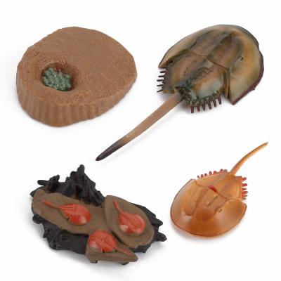 4 PCS Figuras de animais marinhos do mar Criaturas oceânicas Modelos de ação Ciclo de vida Figura de caranguejo ferradura