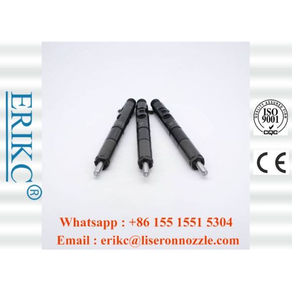 EJBR02401Z CRDI For Delp Diesel Injectors R02401Z Common Rail Injection System For KIA