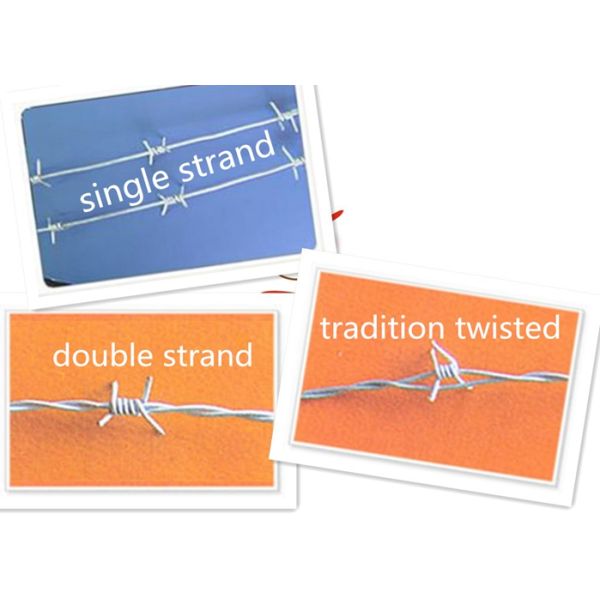 Tradition Twisted Barbed Wire Mesh Fence Powder Coated With 1.5-3cm Barb Length