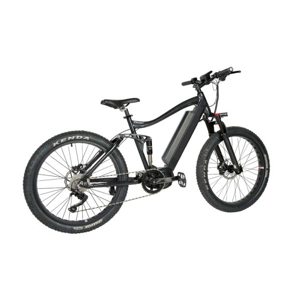 Hydraulic Disc Brake and Kenda Tire 26 inch Alloy Frame Electric Mountain Bike for OEM