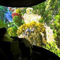 Simulateur de cinéma 3D de réalité virtuelle personnalisé à l'œil nu