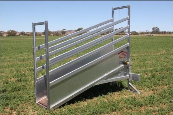 Galvanized Adjustable Wire Cattle Panels , Durable Cattle Loading Ramp