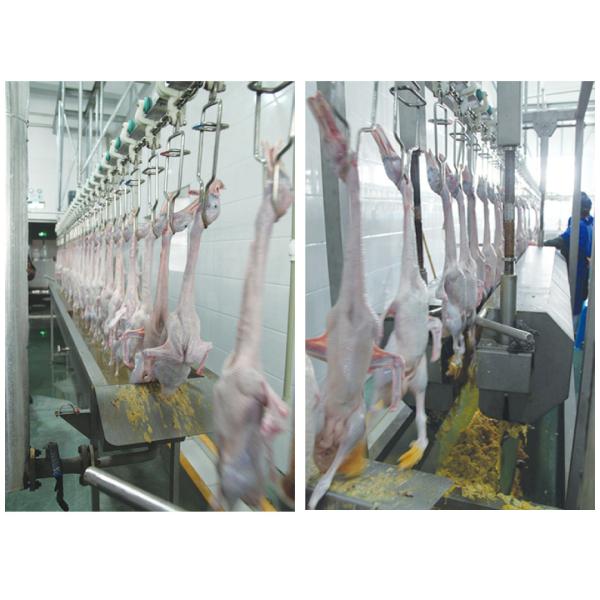 High Productivity Poultry Slaughtering Equipment 220V / 380V For Duck 200 - 12000BPH