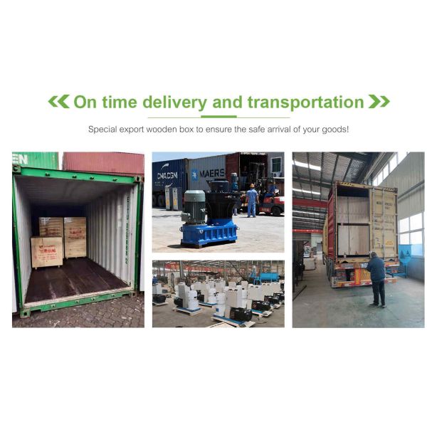 500kg/H Wood Pellet Production Line 300kg/H Biomass Pellet Production Equipment