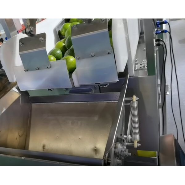Semi-Automatic Onion Fruit Potato Mesh Bag Packaging Machines Net Bagging Machine