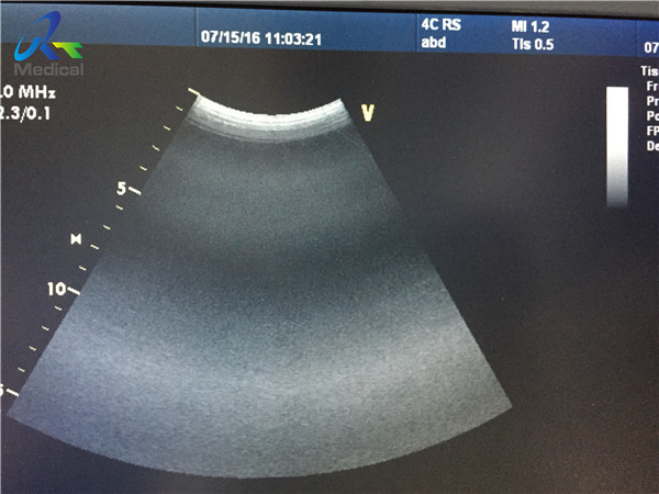 Используемый ультразвуковой GE 4C-RS зондов изогнул массив/запасную часть медицинские