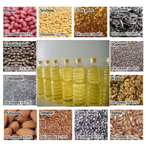 Small Corn Germ Extraction Coconut Oil Screw Mill Press Palm Oil Presser Machine with Energy Saving Advantage