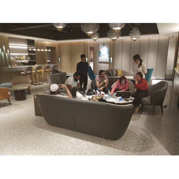 Meubles bas acides d'hôtel d'étoile de la preuve cinq pour le salon