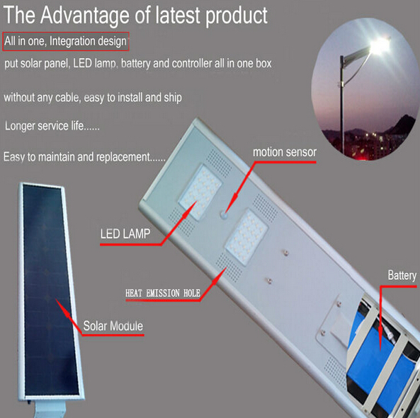 Integrated 30W Solar LED Garden Light With CE RoHS Certified And Motion Sensor